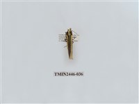 藏品(雙帶長苔蛾)的圖片